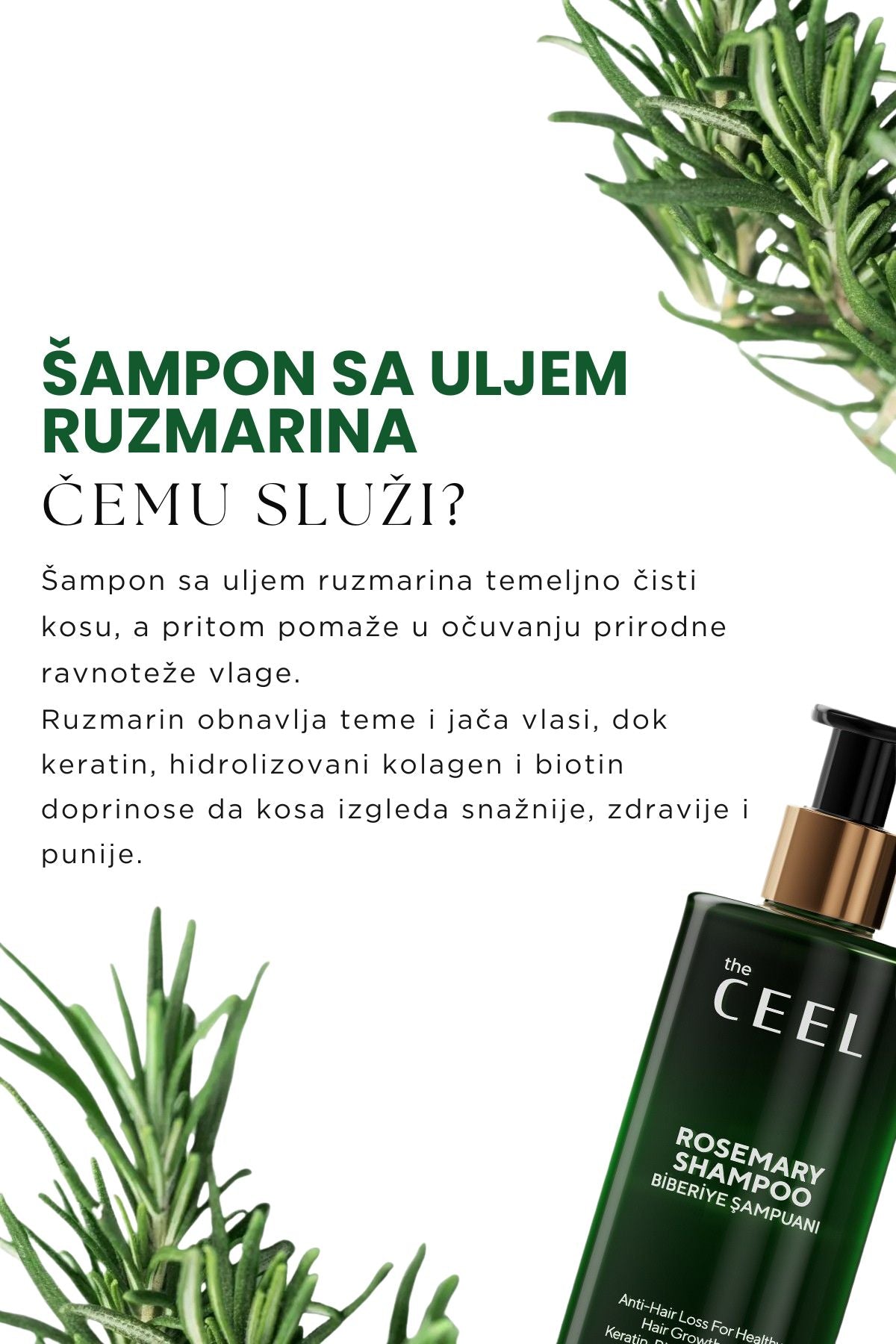 Ruzmarin Set za Gušću Kosu