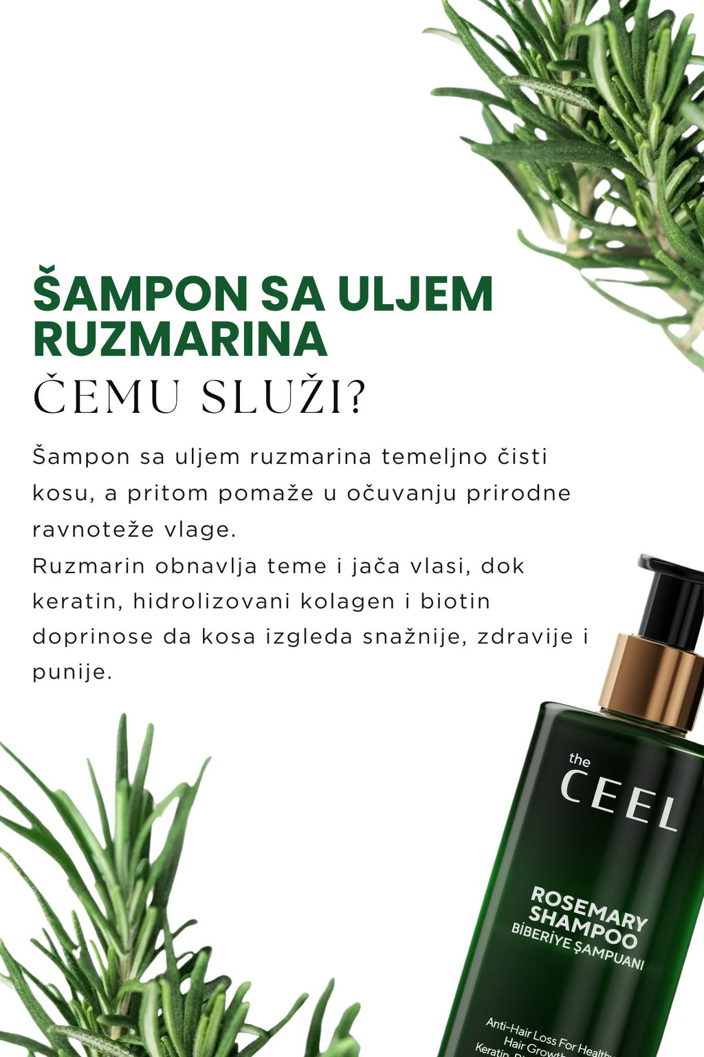 Ruzmarin Set za Rast Kose