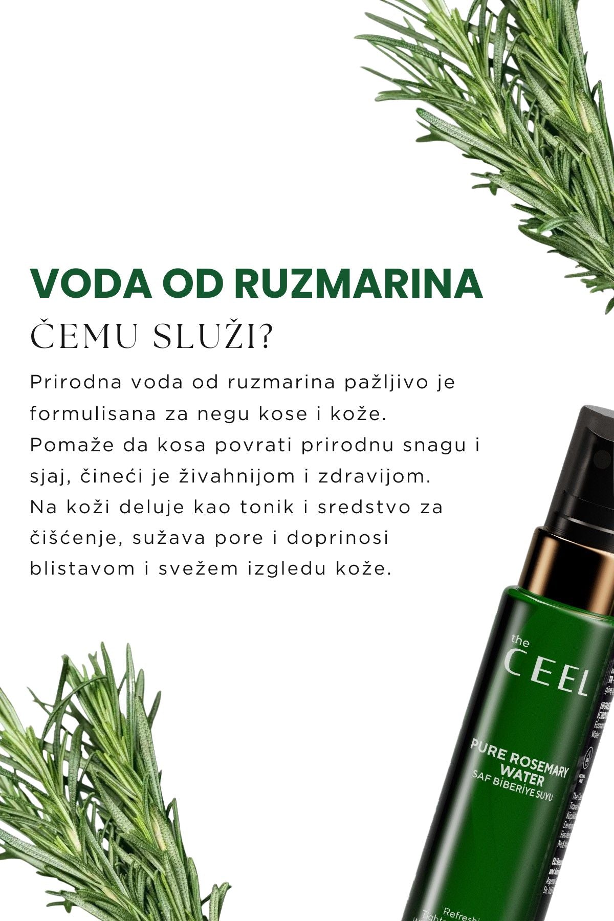 Ruzmarin Set za Rast Kose