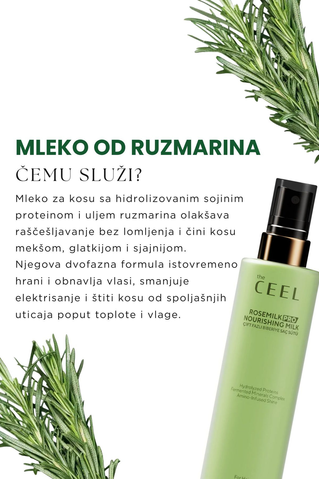 Ruzmarin Set za Rast Kose