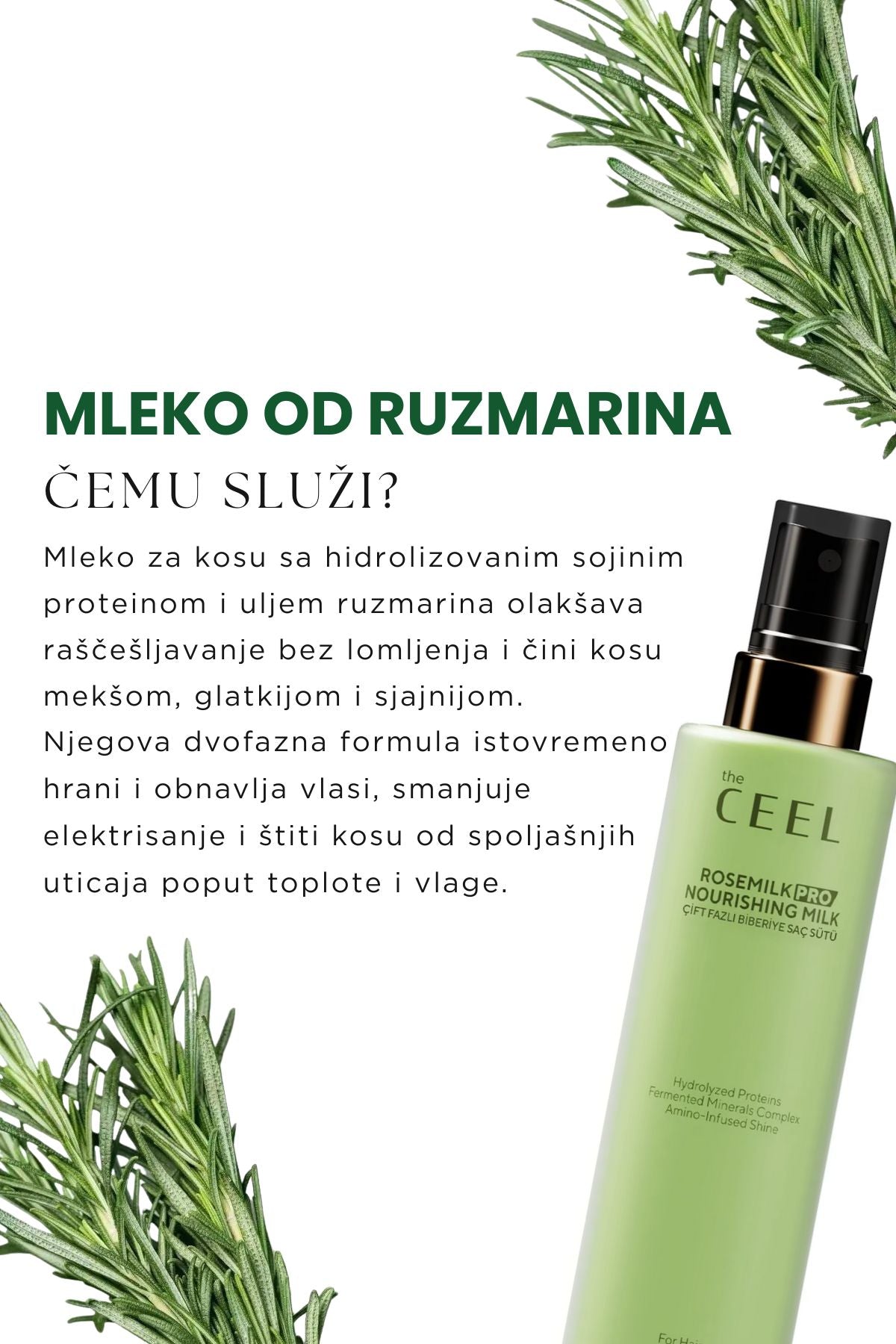 Ruzmarin Set za Rast Kose