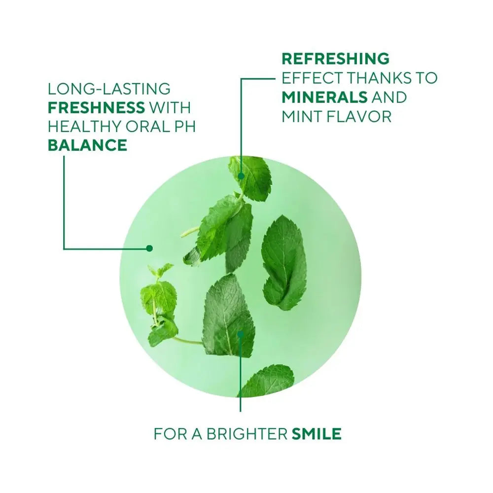 Pasta za Zube sa Mentom