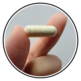 Probiotik (Lactobacillus Ferment)